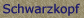 Schwarzkopf 
